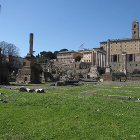 ������ ���� ��������